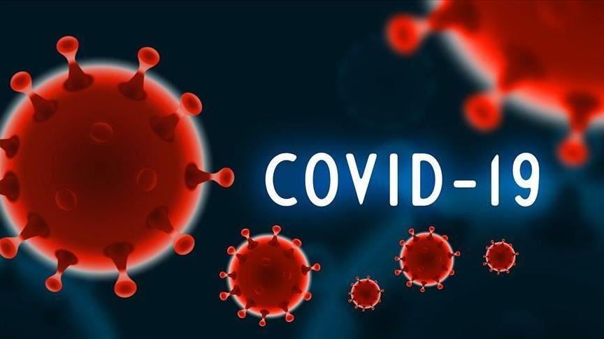 coronavirus 